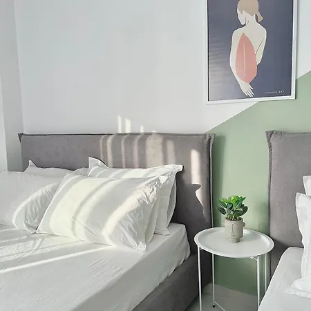 Lulu Suites- Lime *
